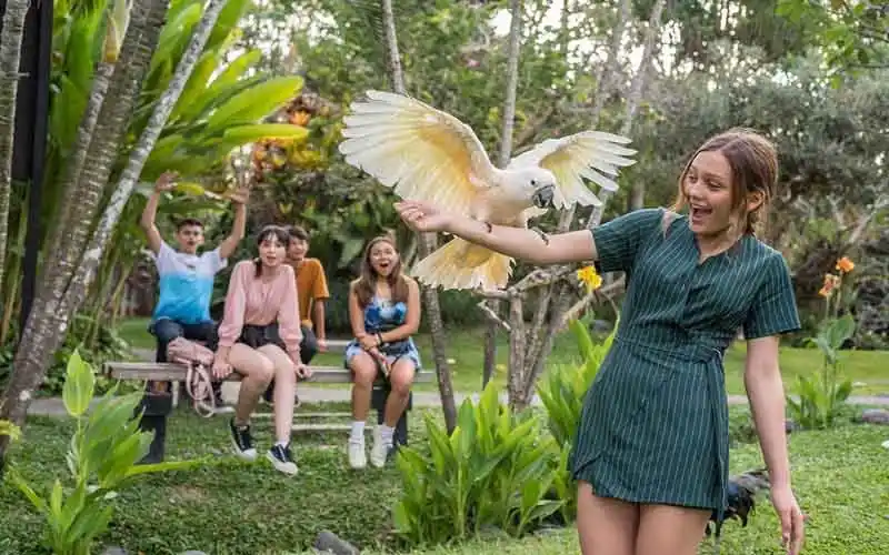 bird park
